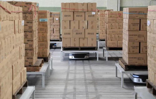 十问旷视印奇 AI公司步入深水区，友商其实不是友商，装卸搬运的现实与挑战