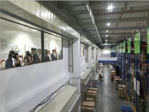 物流专业学生赴汤臣倍健透明工厂开展物流代理服务见习