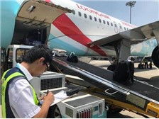 杭州萧山亿航货运代理部运营部 高效装卸搬运服务介绍