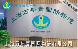 上海国际集装箱海运代理 装卸搬运的关键作用与专业实践